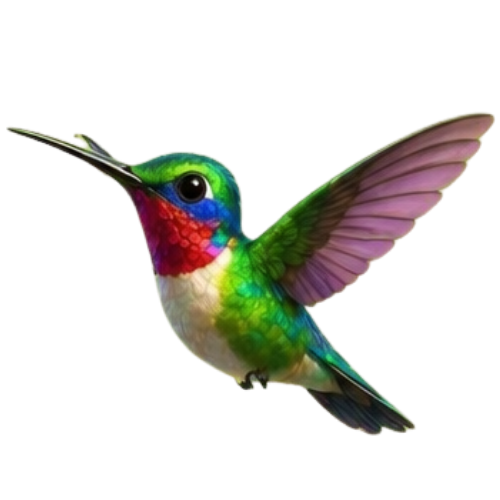 colibri